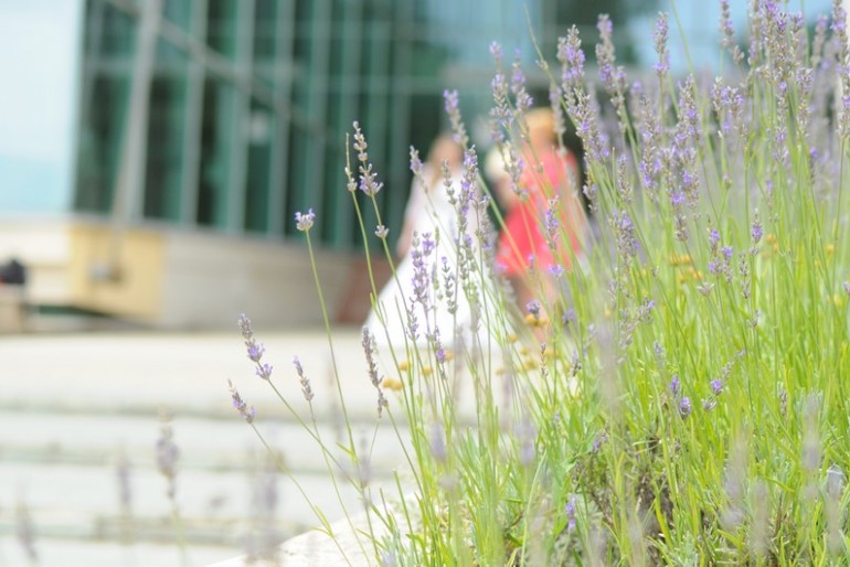 Ezekről ne feledkezz el az esküvő előtt